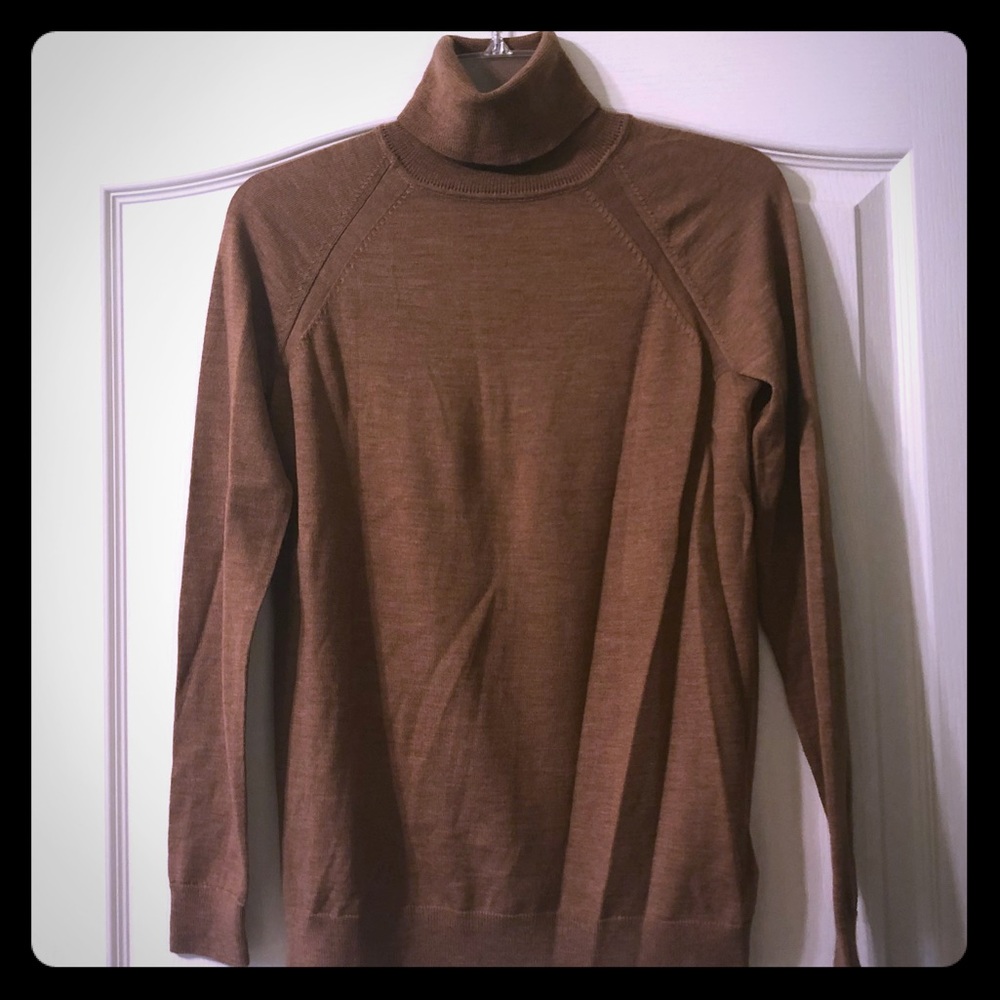 Gap Merino wool turtleneck